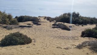 2023-GC--Mapalomas dunas-S123-214.jpg